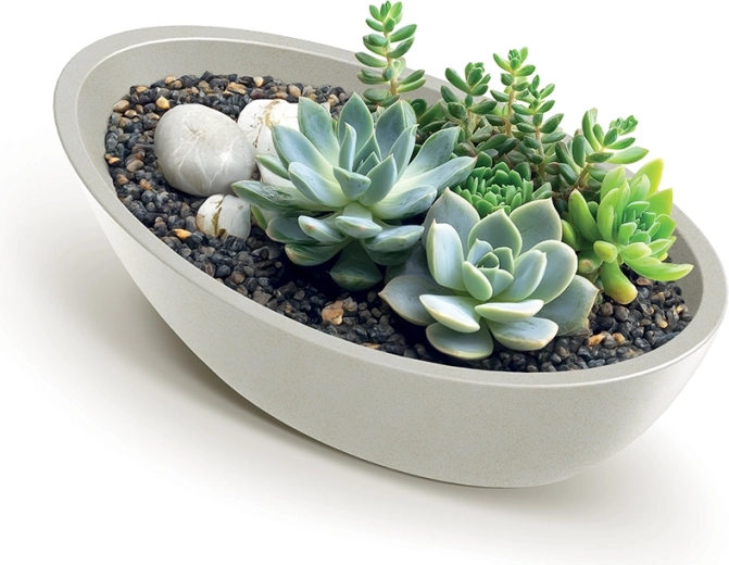 Idéale pour les succulentes et les compositions
