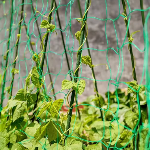 Support vertical pour une récolte abondante