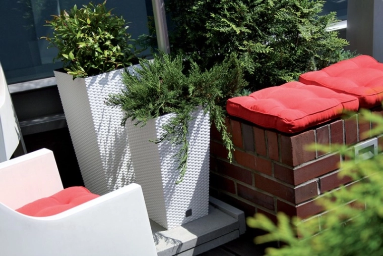 Insert amovible pratique pour un rempotage facile