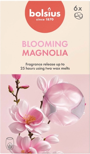 Cires parfumées au magnolia, lot de 6 pièces