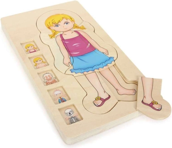 Puzzle en bois superposées représentant l’anatomie du corps d’une fille