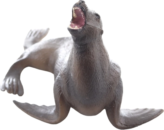 Parfaite pour apprendre sur les animaux marins