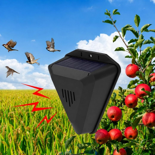 Protection des récoltes contre les oiseaux