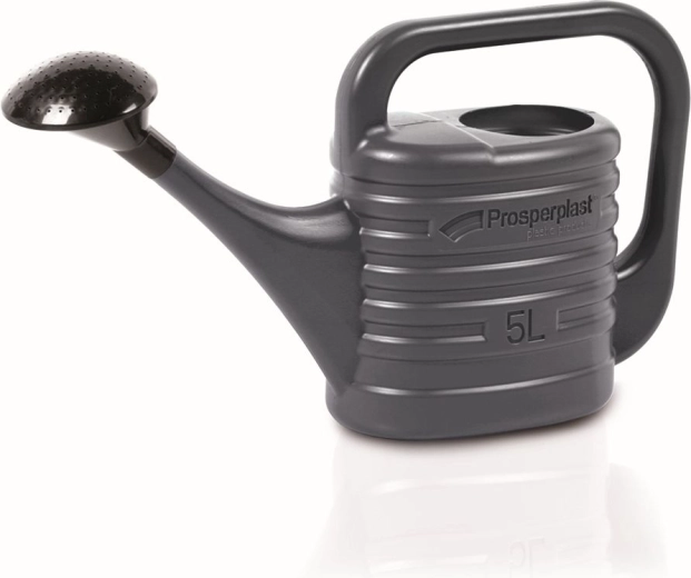 Arrosoir ZEBRA avec pomme d’arrosage, 2 l, anthracite