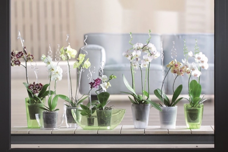 Support élégant et discret pour les fleurs