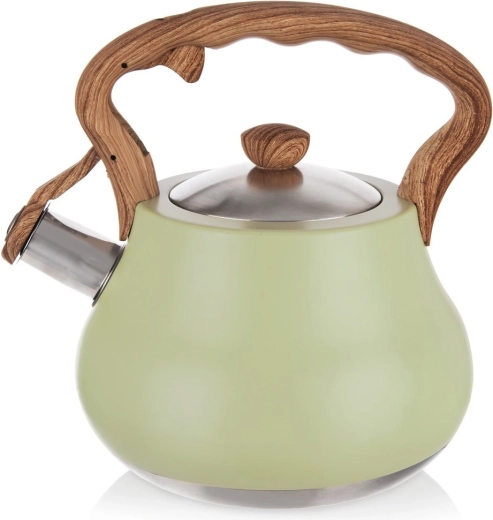 Bouilloire sifflante en acier inoxydable GREENISH 3 l
