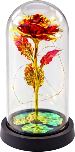 Rose protégée par une cloche en verre