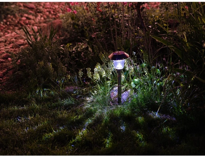 Lumière blanc froid pour le jardin