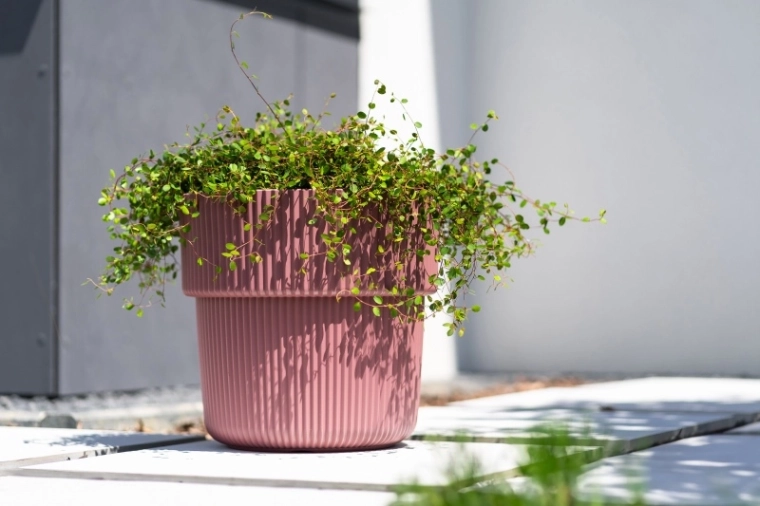 Design rainuré moderne et stabilité