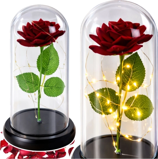 Rose romantique sous cloche protectrice