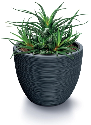 Résistant et stable pour les grandes plantes