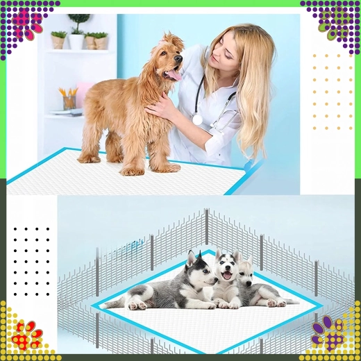 Propreté pendant l’éducation et les soins