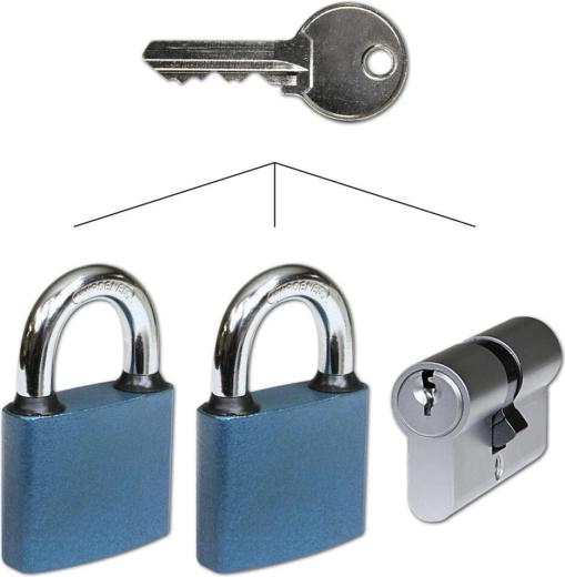 Kit pour fermeture commune avec cylindre 30/35 Ni et 2 cadenas RICHTER