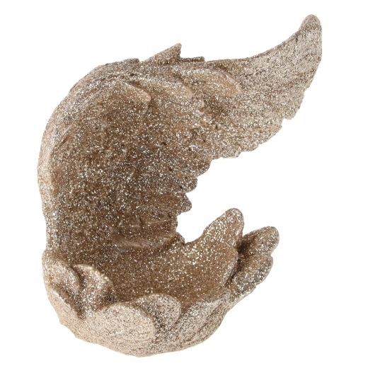 Dimensions compactes et pratiques