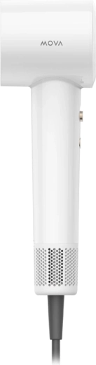 Ionisation pour une chevelure lisse