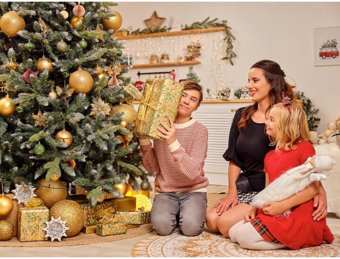 Décoration pour intérieur festif
