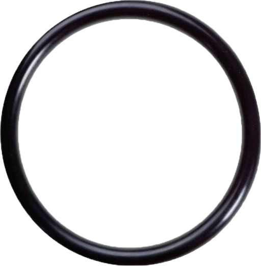 Joint Marimex sous le couvercle du préfiltre pour filtration à sable ProStar