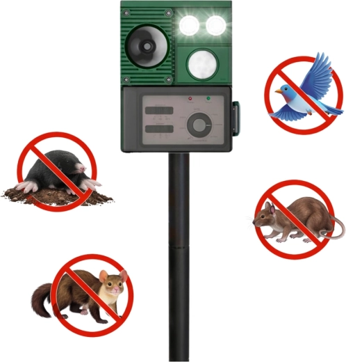 Surveillance intelligente avec capteur PIR