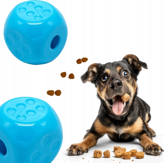 Divertissement et entraînement en un