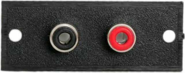 Terminal RCA encastrable avec 2 prises