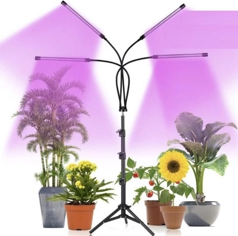 LED rouges et bleues pour soutenir la photosynthèse