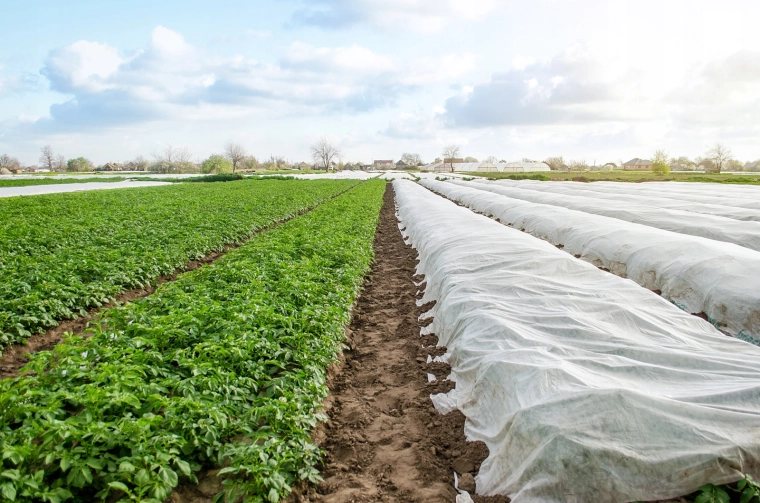 Protection fiable contre les gelées printanières