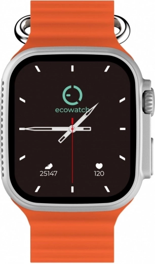 Montre connectée EW02