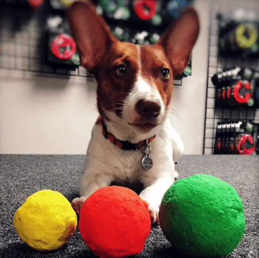 Latex naturel doux pour les dents