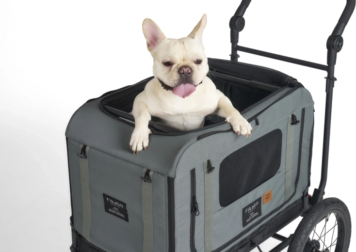 Caisse solide et sûre pour la tranquillité du chien