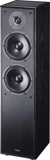 Tour fine à multiples haut-parleurs