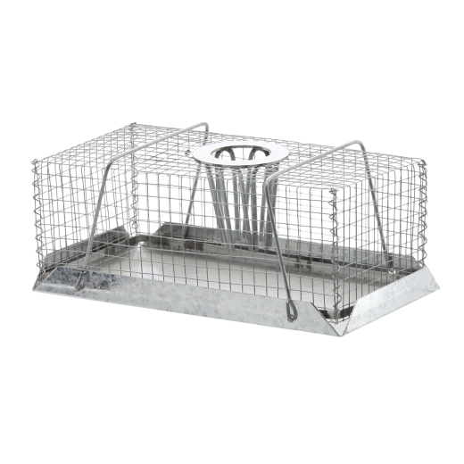 Piège vivant pour souris et rats 18 × 11 × 6,5 cm