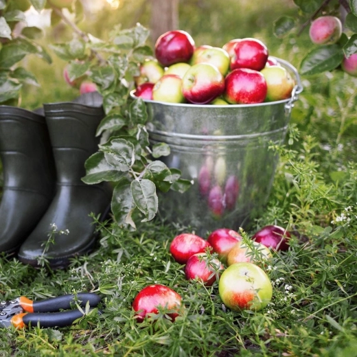 Utilisation universelle à la maison, au jardin et sur chantier