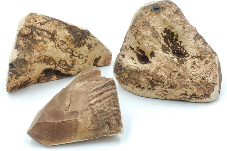 Idéal pour de nombreux besoins canins