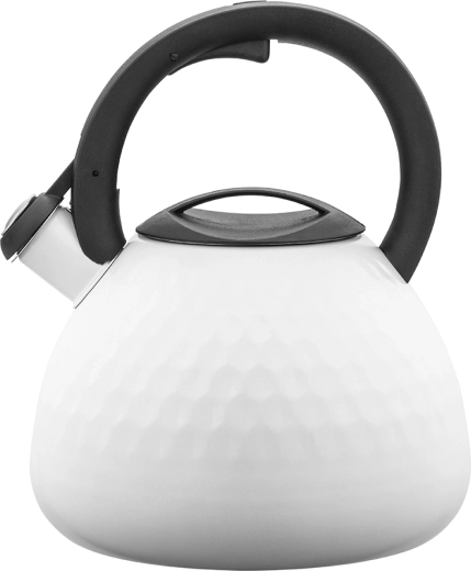 Bouilloire en acier inoxydable Logan 2,7 l