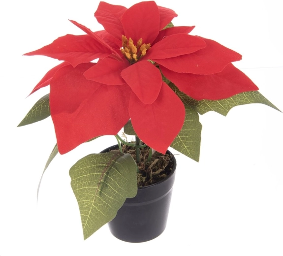Poinsettia (rose de Noël) artificielle en pot, rouge 19 cm