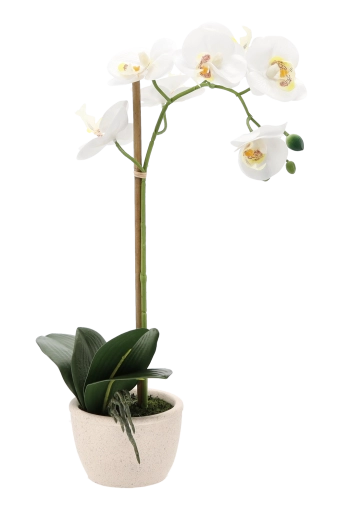 Pot stable et élégant