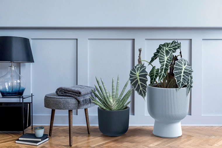 Design côtelé stylé