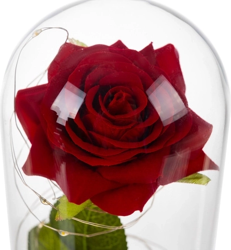 Cloche en verre pour la protection et l’effet