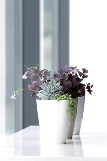 Accessoire stylé pour l’intérieur et le balcon