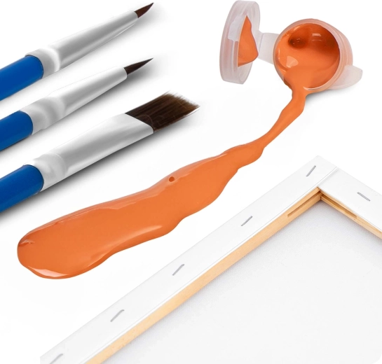 Kit complet avec 3 pinceaux et 30 couleurs