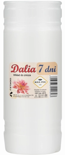 Lot de 10 recharges en paraffine Dalia 19 cm (168 h)