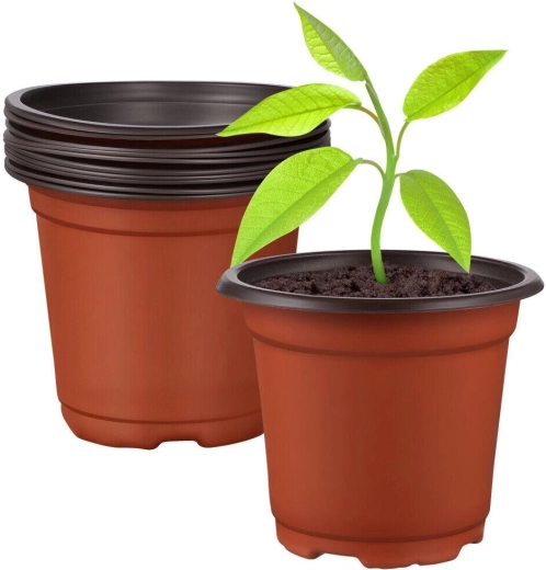 Plateaux de semis en plastique 9 × 6,8 cm – lot de 10 pièces