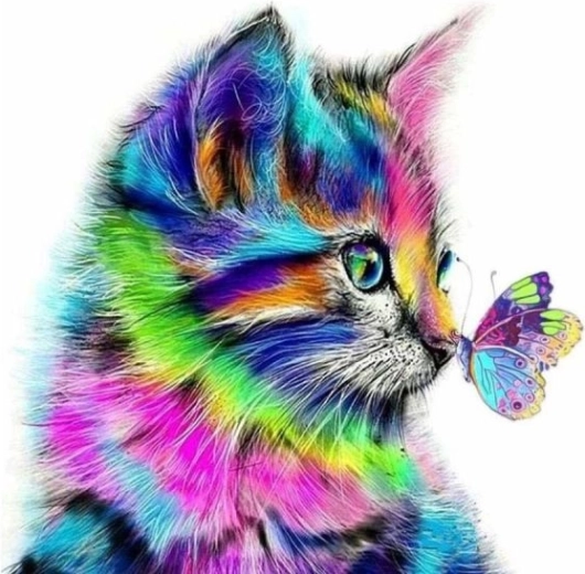 Tableau à peindre par numéros sur châssis 40 × 50 cm – chaton avec papillon