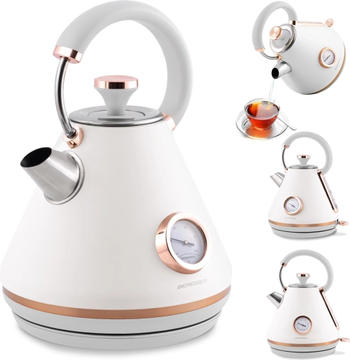 Bouilloire électrique avec thermomètre 1,7 l BERDSEN blanche