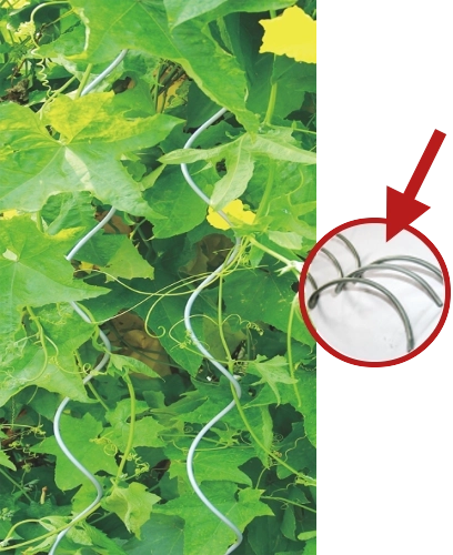 Tuteur hélicoïdal en aluminium pour plantes 10 mm × 120 cm