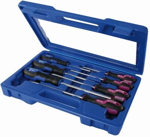 Set de tournevis PROFI 7 pièces Pozidriv et plats dans une mallette