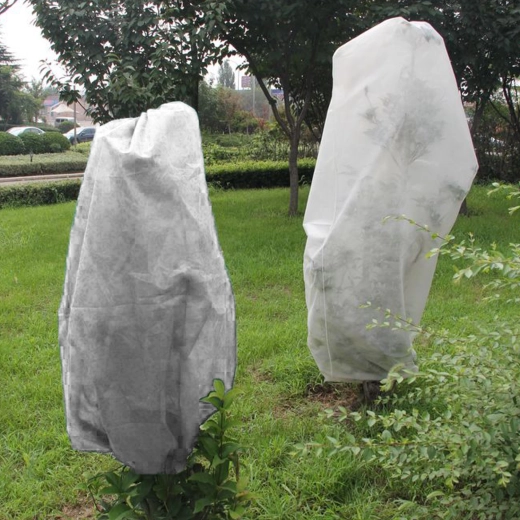 Capuchon de protection pour plantes en agrotextile 1 × 1,6 m, blanc, 30 g/m² (3 pcs)