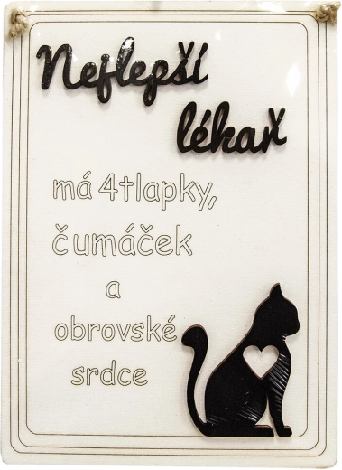 Pancarte en bois « Meilleur médecin : le chat… » 17 × 22 cm