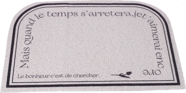 Tapis, paillasson, paillasson antidérapant d’entrée 60 x 90 cm type 2