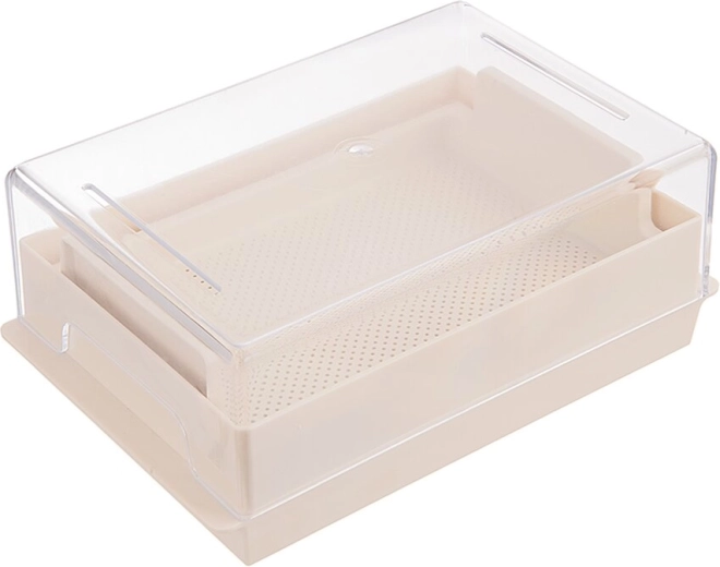 Bol de germination en plastique avec couvercle 21 × 13,5 cm